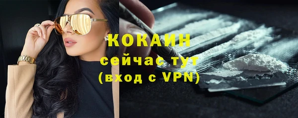 мдпв Воткинск